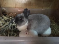 /album/algunos-de-nuestros-reproductores/img-0427-2-jpg/